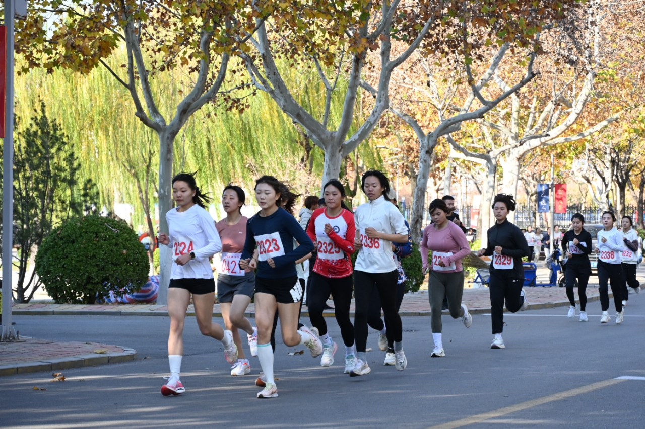 suncitygroup太阳集团