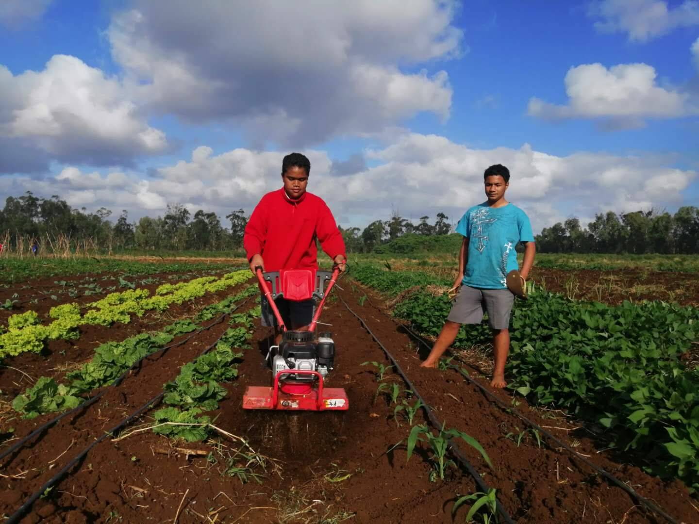 suncitygroup太阳集团