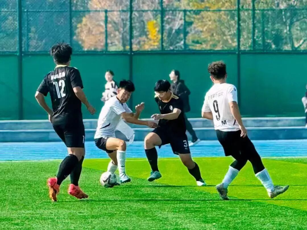 suncitygroup太阳集团