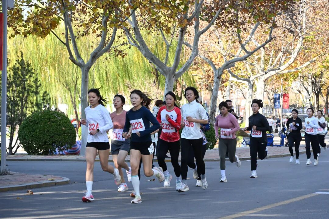 suncitygroup太阳集团