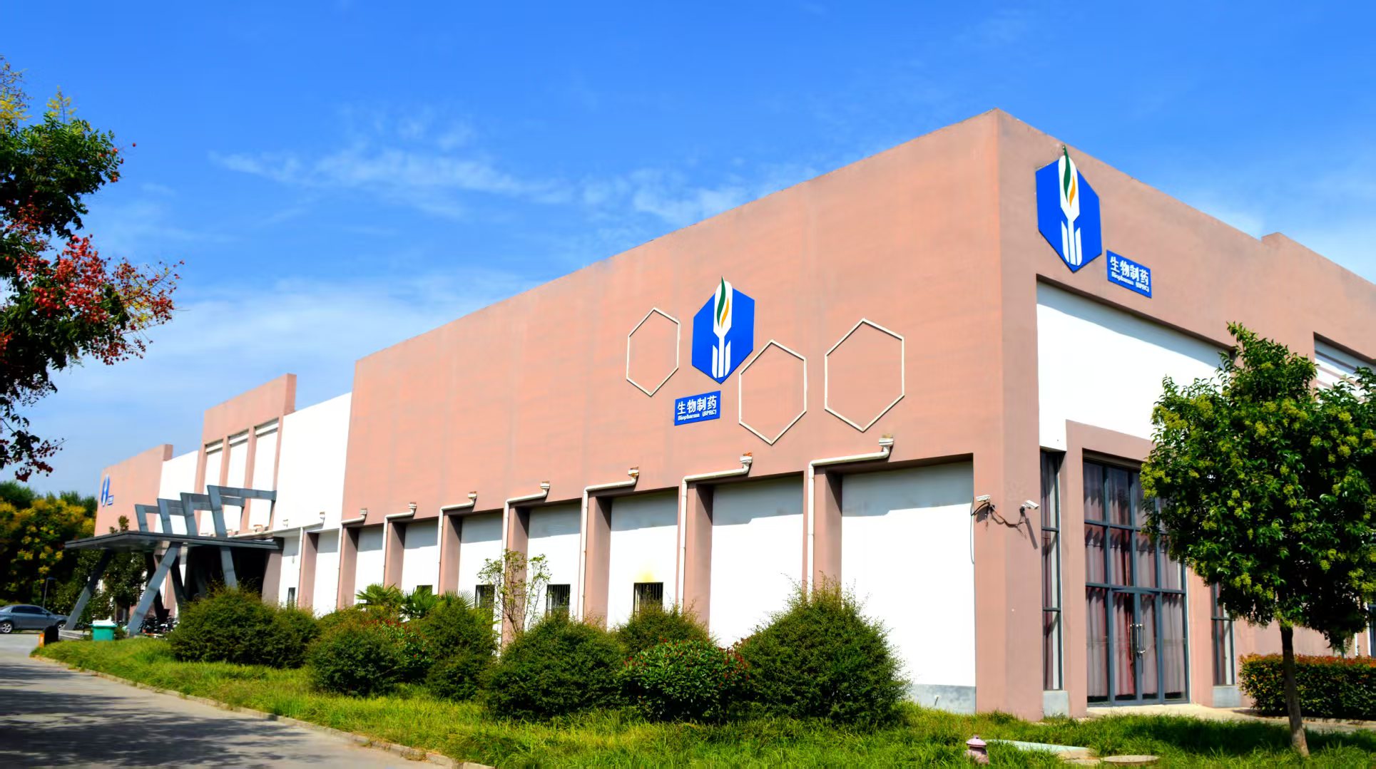 suncitygroup太阳集团