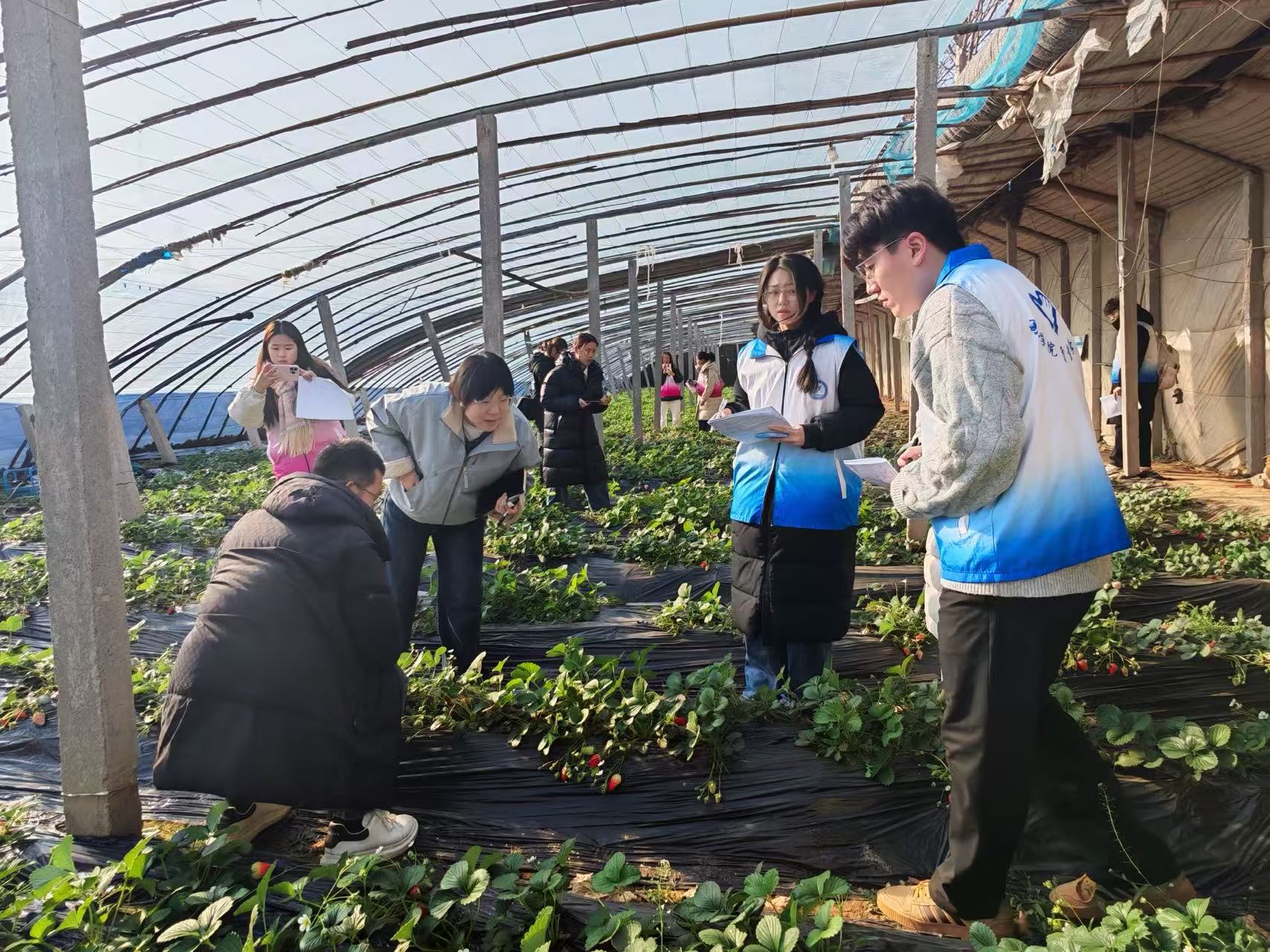 suncitygroup太阳集团