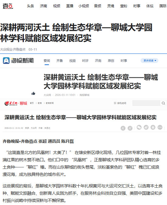 suncitygroup太阳集团