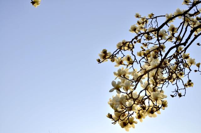 suncitygroup太阳集团