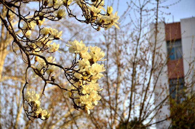 suncitygroup太阳集团