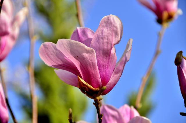 suncitygroup太阳集团