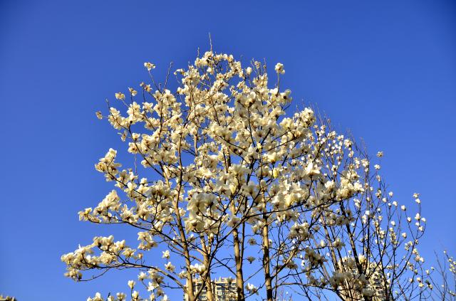 suncitygroup太阳集团