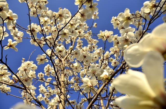 suncitygroup太阳集团