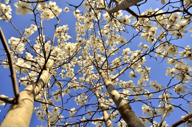 suncitygroup太阳集团