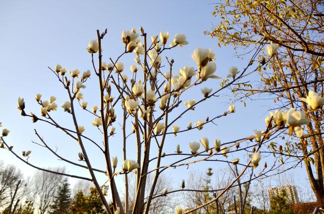 suncitygroup太阳集团